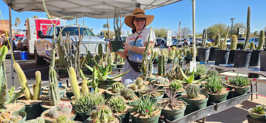 Welcome to Arid Origins: A Journey of Growing Cacti, Succulents, and Community